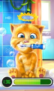 Talking Ginger